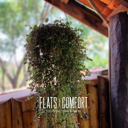 Отель Novidade Flats Comfort Na Vila De Sao Jorge - Chapada Dos Veadeiros Экстерьер фото